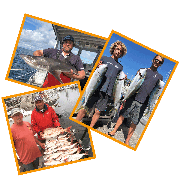 Fishing Charters, Trips & Tours Port Phillip Bay, Sorrento, Victoria